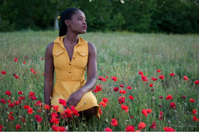 Se noyer dans le&nbsp;blé