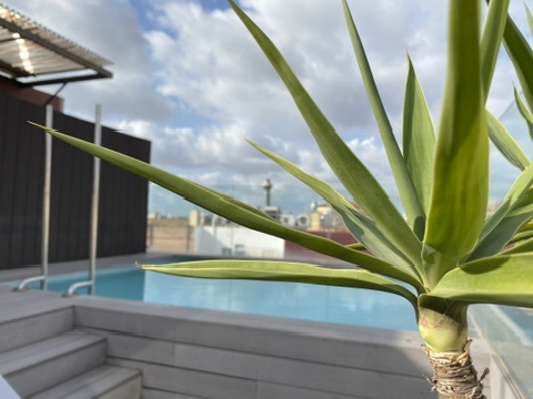 Toit terrasse de l'hôtel the mirror à Barcelone avec piscine et vue sur les toits